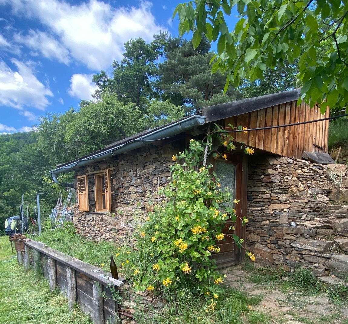 Unsere kleine Steinhütte im Weingarten, davor blühendes Geißblatt
