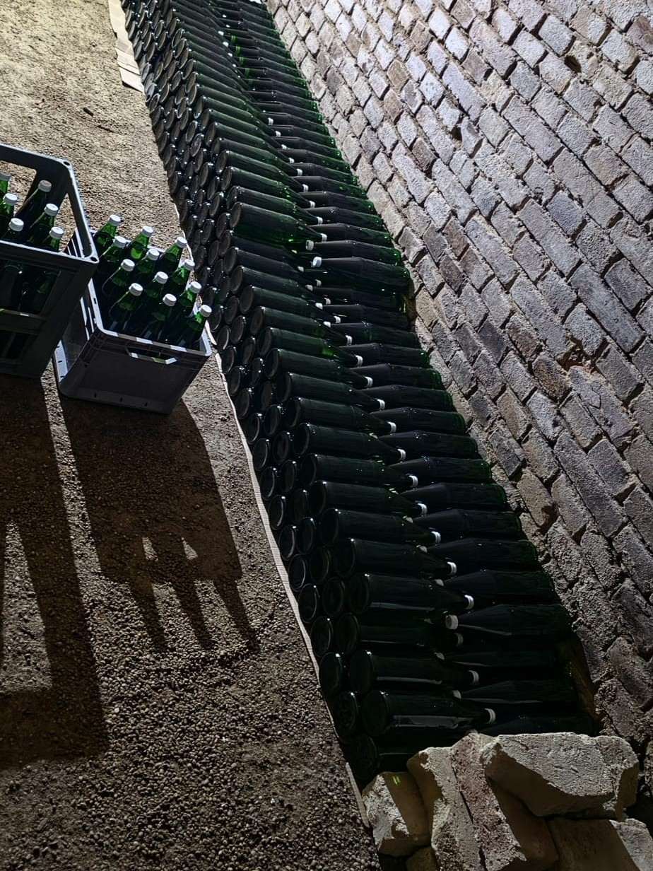 Frisch abgefüllter Traubensaft in Glasflaschen, gestapelt im Ziegelkeller